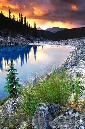 成人免费一级视频a动漫片-与动漫的界限，理性探讨与文化影响